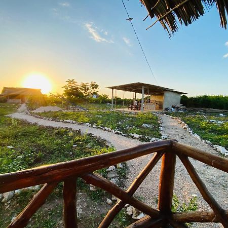 ナングウィ Habibis Bottle House Bed & Breakfast エクステリア 写真