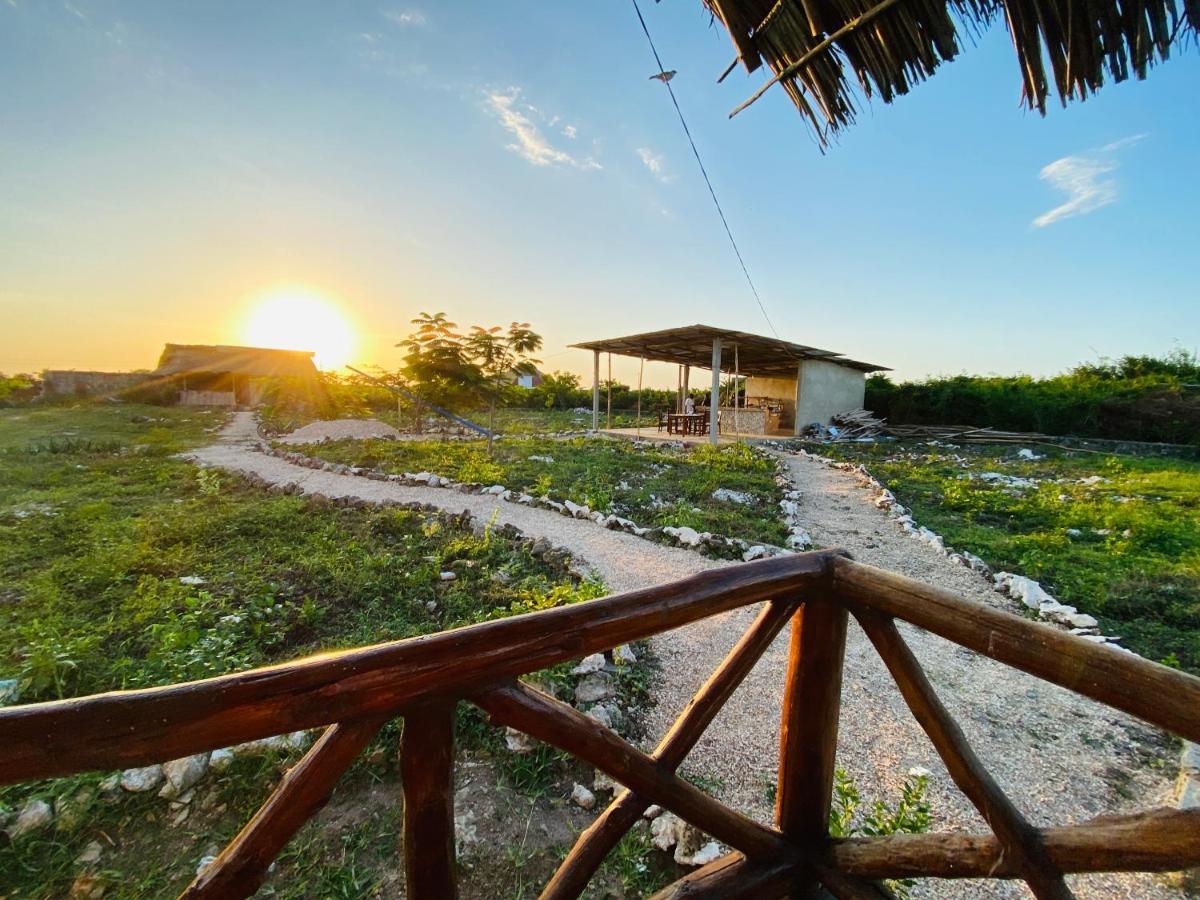 ナングウィ Habibis Bottle House Bed & Breakfast エクステリア 写真