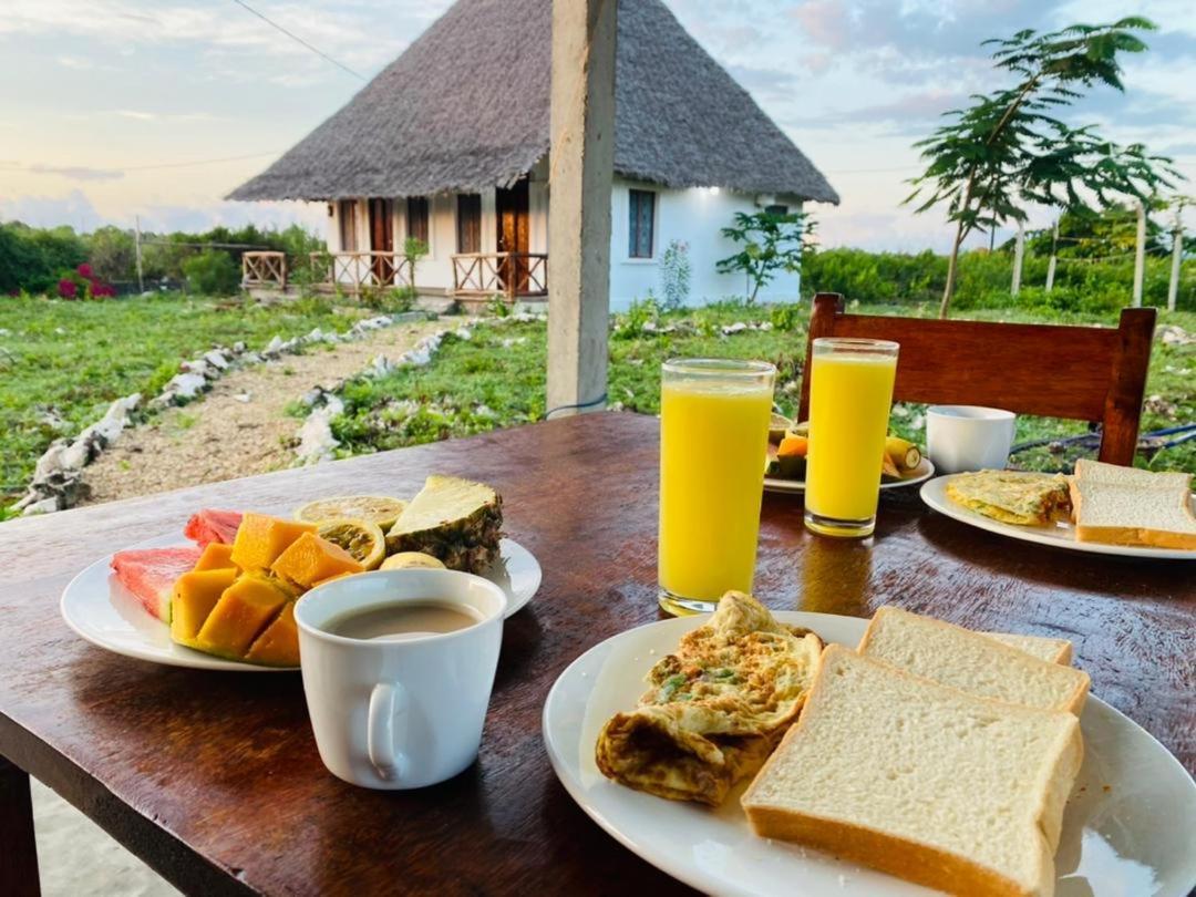 ナングウィ Habibis Bottle House Bed & Breakfast エクステリア 写真