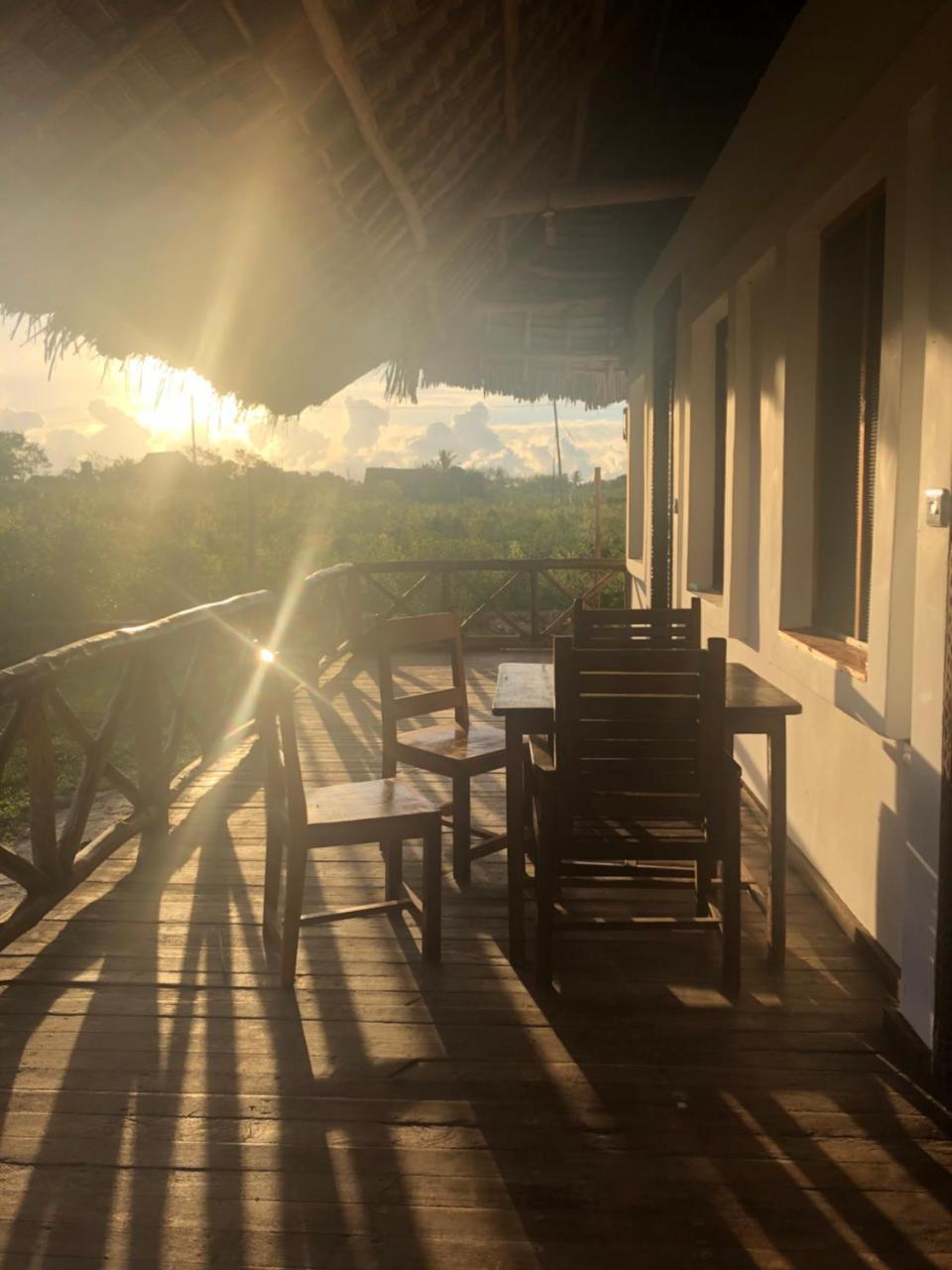 ナングウィ Habibis Bottle House Bed & Breakfast エクステリア 写真